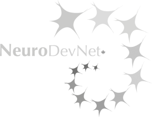 NeuroDevNet